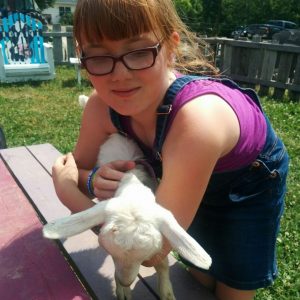 Art And Amazing Animals Online Summer Camp - Image 10