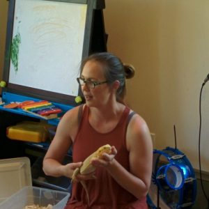 Art And Amazing Animals Online Summer Camp - Image 8