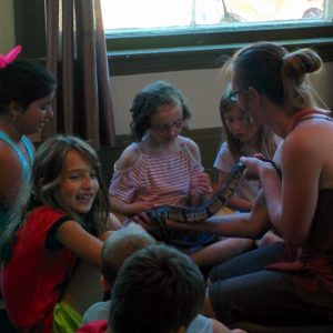 Art And Amazing Animals Online Summer Camp - Image 11